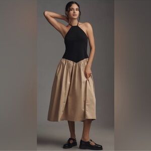 Anthropologie Black and Tan A-Line Dress